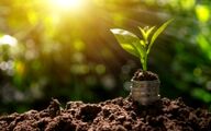 ماجرای پرداخت حق بیمه گندمکاران از محل خرید تضمینی چه بود؟