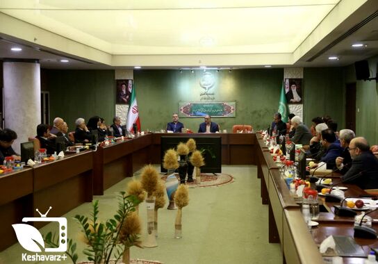گالری