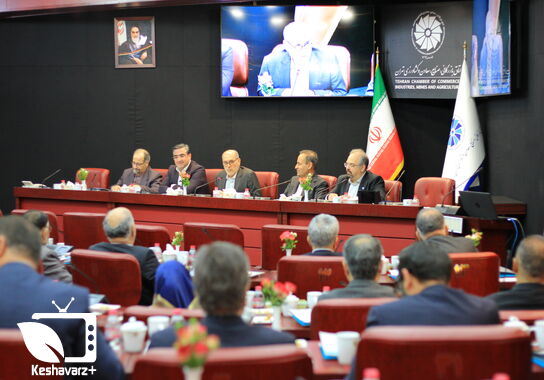 گالری