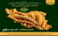 جهادکشاورزی، ایران را در خوشه‌های گندم روایت کرد