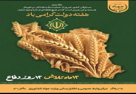  جهادکشاورزی، ایران را در خوشه‌های گندم روایت کرد