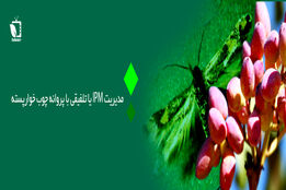 مدیریت IPM یا تلفیقی پروانه چوب خوار پسته(پروانه کرمانیا)