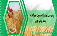 پیش بینی تولید 14 میلیون تن گندم در سال زراعی جاری