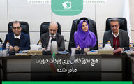 هیچ مجوز خاصی برای واردات حبوبات صادر نشده