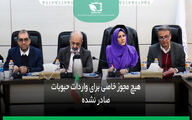 هیچ مجوز خاصی برای واردات حبوبات صادر نشده