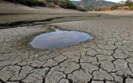 اقدامات جهاد کشاورزی برای مقابله با تنش‌های آبی
