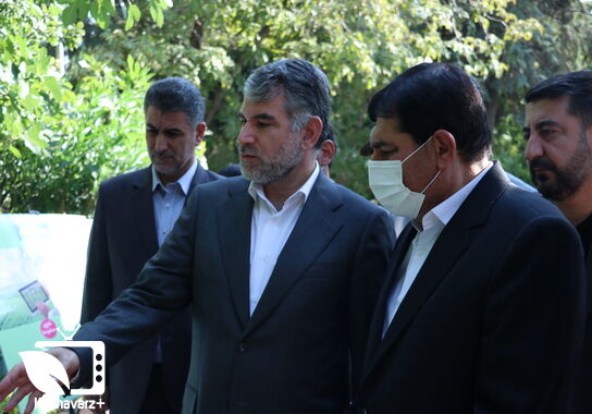 گالری