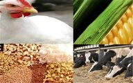 نهاده‌های دامی با ارز 80 هزار تومانی به دست تولیدکننده می رسد