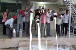 اعتراض دامداران لبنی به خشونت کشیده شد