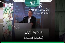 همه به دنبال کیفیت هستند