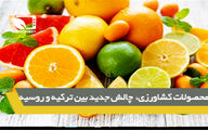 محصولات کشاورزی، چالش جدید بین روسیه و ترکیه