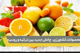 محصولات کشاورزی، چالش جدید بین روسیه و ترکیه