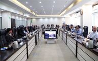 آیین‌نامه اجرایی برنامه صنعت طیور بازنگری می‌شود