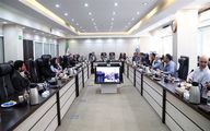 آیین‌نامه اجرایی برنامه صنعت طیور بازنگری می‌شود