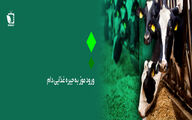 نبود ارز و خشکسالی بلای جان دامداری ایران 