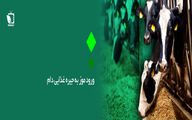 نبود ارز و خشکسالی بلای جان دامداری ایران 