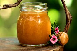 عسل مانُوکا چیست؟ اگر نمی‌دانید، حالا خواهید فهمید!