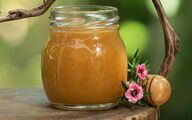 عسل مانُوکا چیست؟ اگر نمی‌دانید، حالا خواهید فهمید!