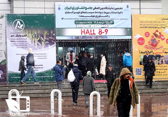 گالری