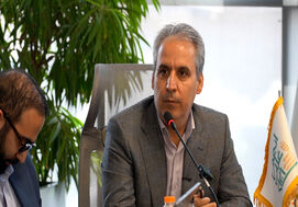 روایت دبیر انجمن غلات ایران از روند واردات گندم دامی 