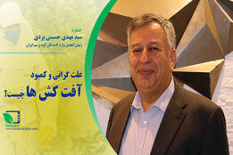 سید مهدی حسینی یزدی رئیس انجمن وارد کنندگان کودو سم ایران در گفتگو با خبرنگار کشاورزپلاس گفت : کاغذ بازی بین وزرات جهاد و بانک مرکزی عامل گرانی آفت کش ها است