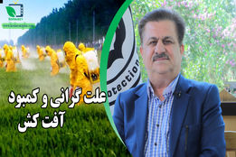 گفتگوی ویژه/ اولویت ما برای تامین آفت کش بخش خصوصی است
