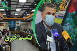 دلالان عامل گرانی تخم مرغ هستند