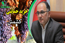 پیگیری مشکل کشاورزانی که نگران کشمش های خود بودند