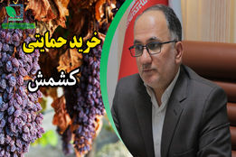 پیگیری مشکل کشاورزانی که نگران کشمش های خود بودند