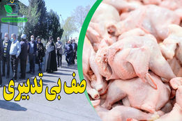 صف بی تدبیری توزیع مرغ