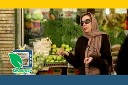 سودجویی در تولید محصولات کشاورزی