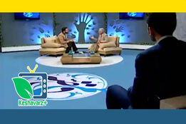 کشاورزی شهری راهی برای اقتصاد مقاومتی