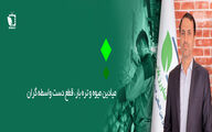 میادین میوه و تره بار، قطع دست دلالان