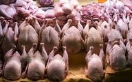 گرانی گوشت و مرغ و هشدار درباره حذف کامل از سفره مردم