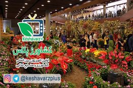 ویژگی های هفدهمین نمایشگاه گل و گیاه تهران از دیدگاه غرفه داران و بازدید کنندگان