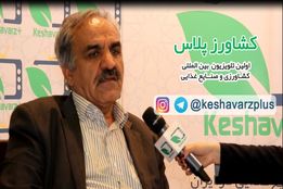 سلطان محمدی رییس اتحادیه تولید کنندگان گل و گیاه تهران: بیان رتبه و جایگاه صنعت گل در جهان و راهکار صادرات گل