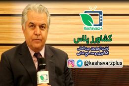 راهکارهای مناسب جهت نگهداری گل و گیاه برای آپارتمان نشینان از زبان مهندس ابراهیمی