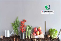 روشی آسان برای پرورش گیاهانی که درمنزل با آنها سروکار دارید(قسمت اول)-فیلم ترجمه شده اختصاصی