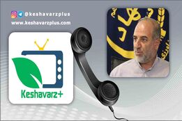 کوهستانی معاون مدیریت توسعه بازرگانی سازمان جهاد کشاورزی استان تهران در گفتگو با خبر نگار ما گفت:اعطای مشوق صادراتی به صادر کنندگان انجام خواهد شد