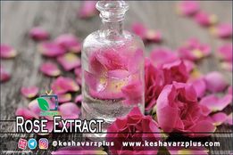 راه تشخیص گلاب خالص از تقلبی و آشنایی با برخی از خواص عرقیات گیاهی