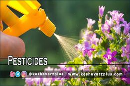 آموزش ساخت آفت کش خانگی با روشی کاملا آسان در منزل(دوبله اختصاصی)