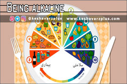 با خوردن غذاهای قلیایی سلامت خود را تضمین کنید