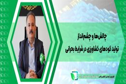  چالش‌ها و چشم‌انداز تولید کودهای کشاورزی در شرایط بحرانی
