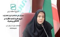 شروع طرح تشدید نظارت بر کالاهای پرمصرف