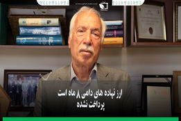 ارز نهاده های دامی 8 ماه پرداخت نشده است