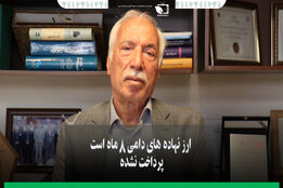 ارز نهاده های دامی 8 ماه پرداخت نشده است