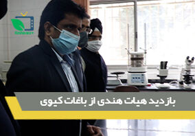 بازدید هیات هندی از باغات کیوی ایران