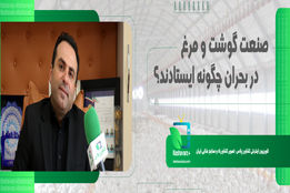 صنعت گوشت و مرغ در اوج بحران چگونه ایستاد؟