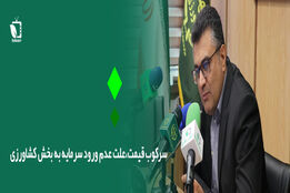 سرکوب قیمت، علت عدم ورود سرمایه به بخش کشاورزی
