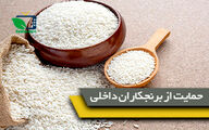 تدابیر وزارت جهادکشاورزی برای حمایت از برنجکاران داخلی